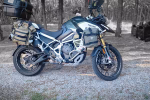 TIGER RALLY EXPLORER 