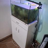 acquario 60 litri