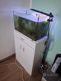 acquario 60 litri