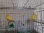 Immagine 1