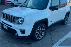 renegade 1.6 diesel MY 19