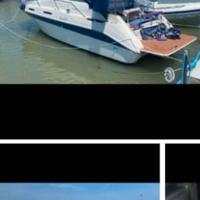 Barca a motore Sea Ray 230 Sundacer