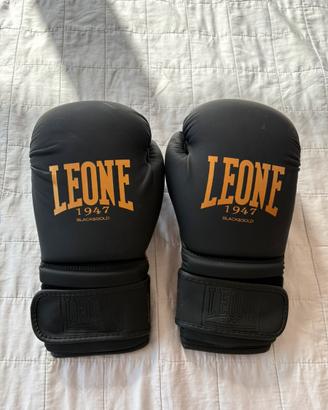 Guanti boxe leone 12 once