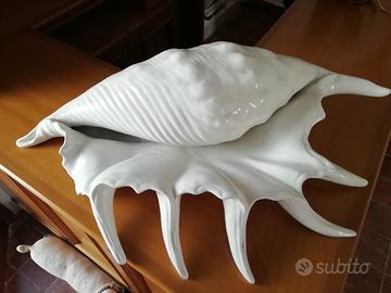 Conchiglia soprammobile grande