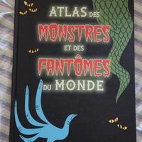 Libro in francese per bambini 