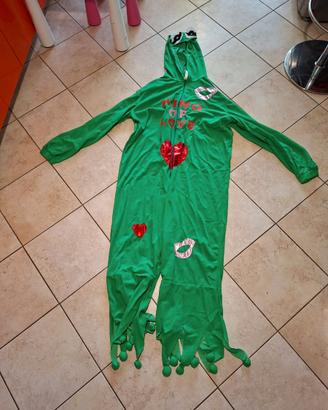 Costume Principe Ranocchio