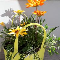Composizione floreale