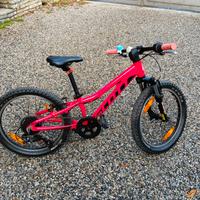 Bici Scott  Contessa 