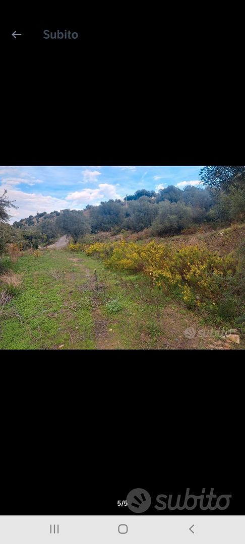 Terreno termini imerese - Vista 5