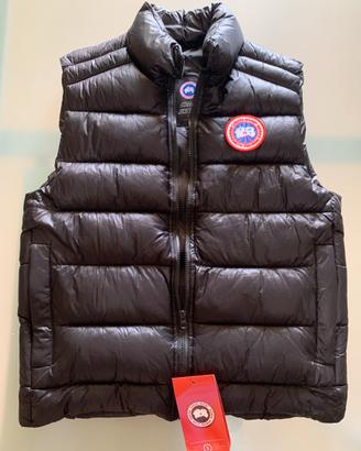 Smanicato Canada Goose