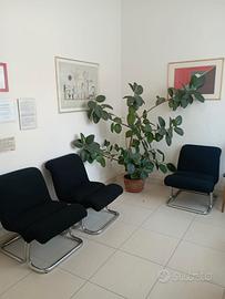 Locale in centro servizi