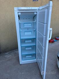 CONGELATORE VERTICALE ELECTROLUX NO FROST