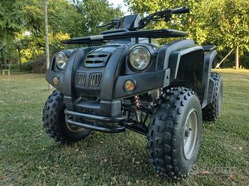 Quad adly ATV 300