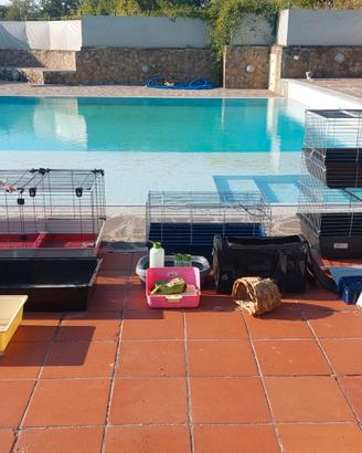 GABBIE conigli,criceti,cavie (200 EURO)