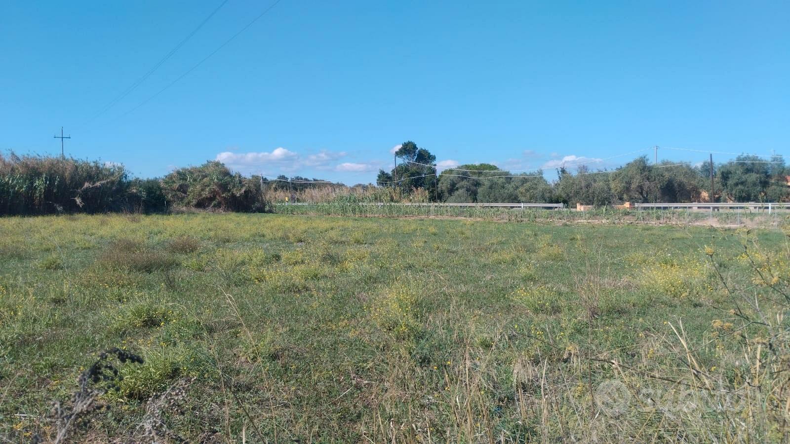 Agro Sorso terreno con rudere, pozzo, recintato - Vista 5