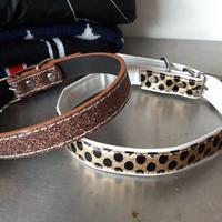 Collarino cane