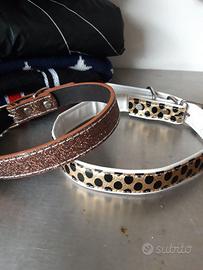 Collarino cane
