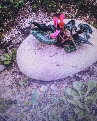 pietra per giardino o interni 