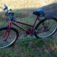 bicicletta 