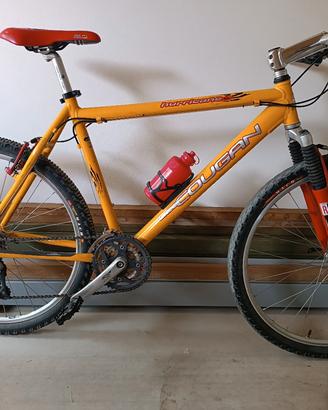 Mountain bike Lee Cougan
