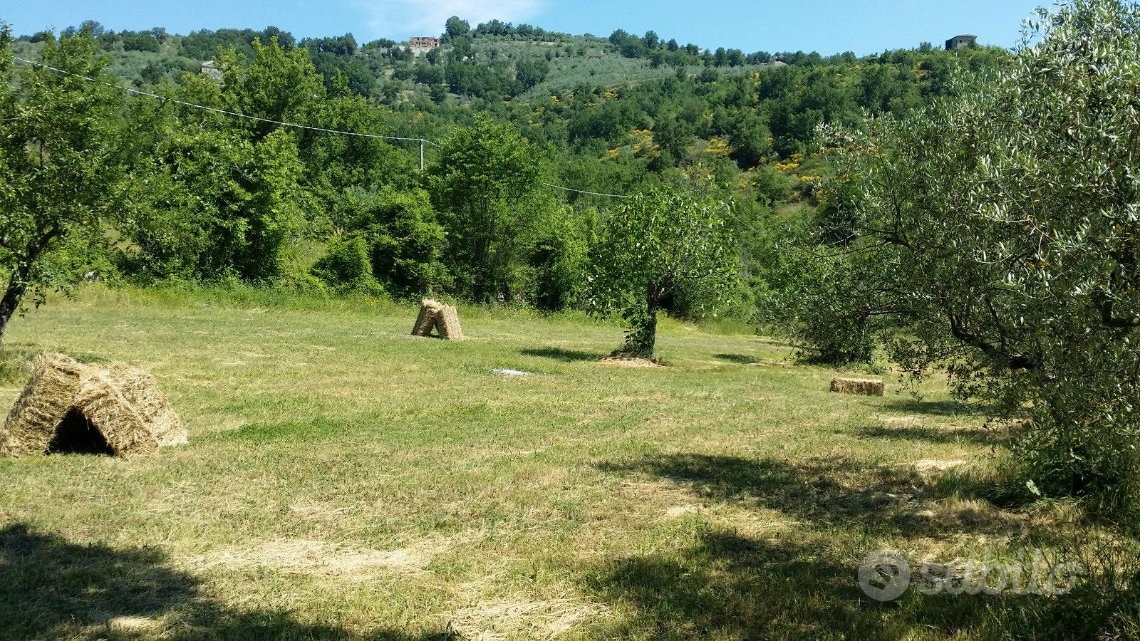 Casolare di campagna più terreni - Altro