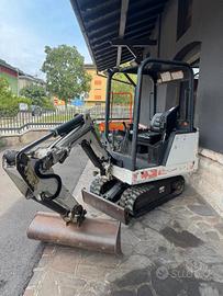 Bobcat