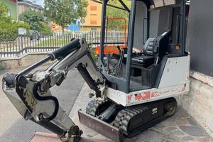 Bobcat