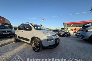 FIAT Panda 3° serie 1.0 FireFly S&S Hybrid City