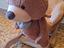 Immagine 2