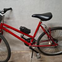 bicicletta donna