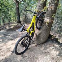 MTB Specialised 