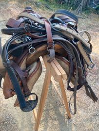 Sella e finimenti maremmani