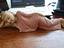 Immagine 1