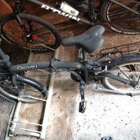 bici da passeggio 