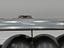 Immagine 10