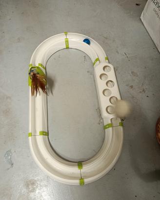 gioco per gatti