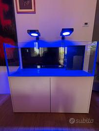 Acquario
