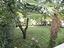 Immagine 12