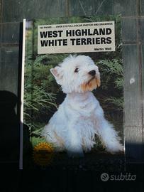 WHITE TERRIERS