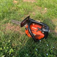 Motosega da potatura carving