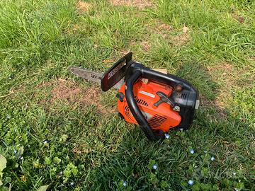 Motosega da potatura carving