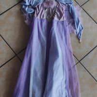 vestito da carnevale principessa 