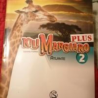 Kilimangiaro 2 plus (mai usato)