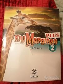 Kilimangiaro 2 plus (mai usato)