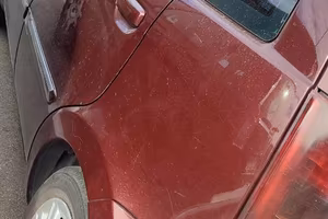 Lancia musa