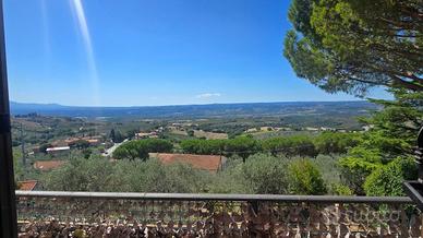Singola a Montecchio
