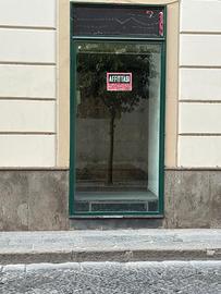 Negozio/Studio privato