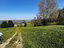 Immagine 20