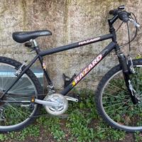 Bicicletta donna