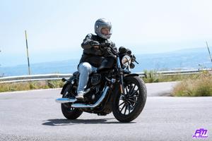 Harley Davidson 883 iron